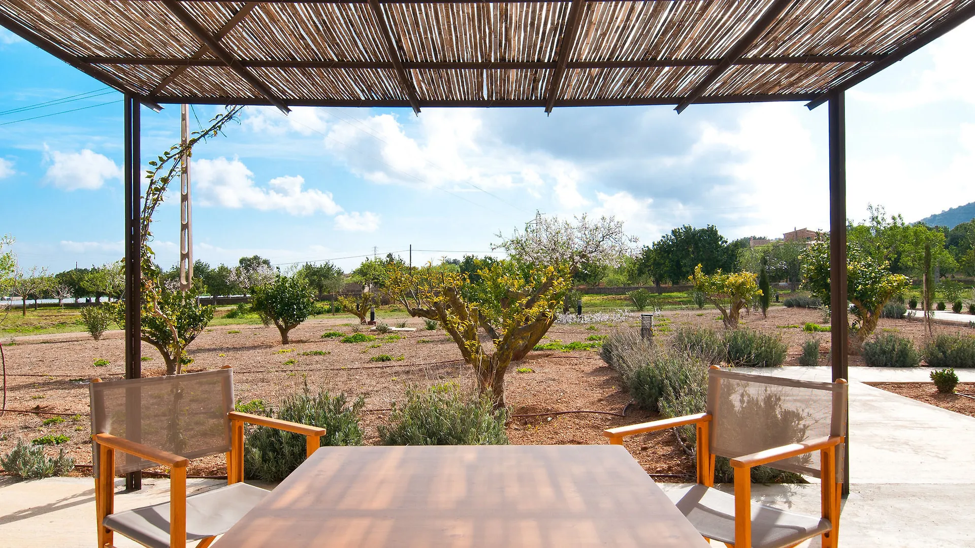Sa Nau Apartamentos Portocolom  Apartment Portocolom (Mallorca)